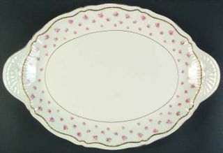 Haviland Wilton 16 Oval Serving Platter, Fine China Dinnerware   New York,Pink