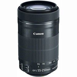Canon EF S 55 250 f/4 5.6 IS STM Lens (8546B002)