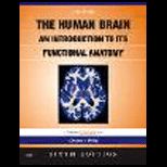 Human Brain An Introduction to its Functional Anatomy