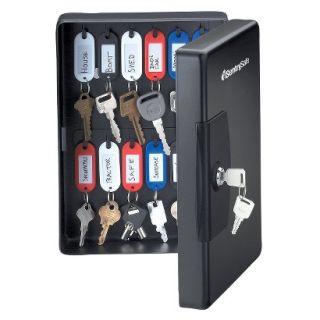 SentrySafe Security Safe: Cash Box: Sentry Safe 25 Key   Key Cabinet   .13