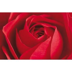 Ideal Decor 45 in. x 0.25 in. Limportant Cest La Rose Wall Mural DM680