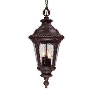 Acclaim Lighting Surrey Collection Hanging Outdoor 3 Light Black Coral Light Fixture 7216BC