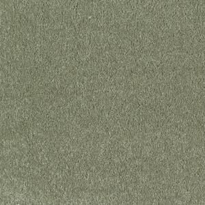 Home Decorators Collection Mineral II   Color Spanish Moss 15 ft. Carpet HDD080TX21