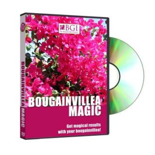 BGI Bougainvillea Magic DVD M6244