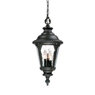 Acclaim Lighting Surrey Collection Hanging Lantern 3 Light Outdoor Black Gold Light Fixture 7216BG