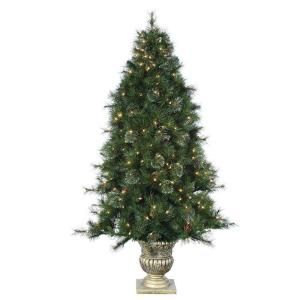 STERLING 6 ft. Potted Pre Lit Artificial Dover Pine Christmas Tree with Clear Lights 5547 60C
