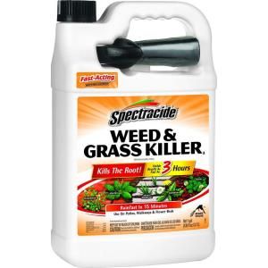 Spectracide 128 oz. Ready to Use Weed and Grass Killer HG 96017 1