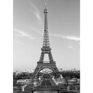 Ideal Decor 100 in. x 0.25 in. La Tour Eiffel Wall Mural DM386