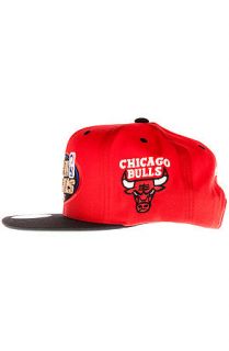 Mitchell & Ness Snapback Hat The Chicago Bulls 1996 NBA Finals Commemorative in Red