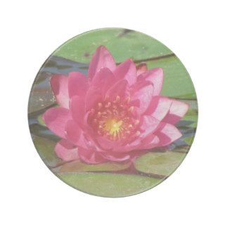 SG Pink Water Lily Coaster  0010