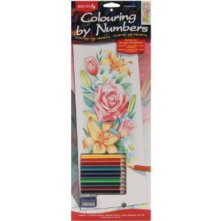 Reeves 17 1/4 Inch by 6 1/4 Inch Tall Pencil by Number Kit, Flowers   Childrens Paint By Number Kits