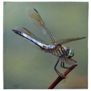 Blue  Dragonfly Napkin