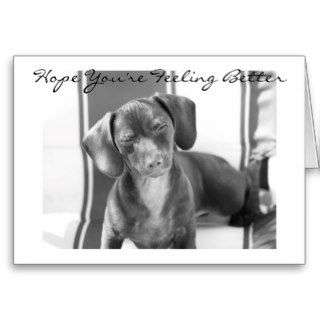 Hope You're Feeling Better, Doxy Pup Greeting Card