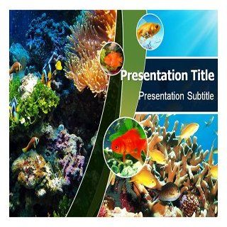 Coral Reefs PowerPoint Template   Coral Reefs PowerPoint (PPT) Backgrounds Templates: Software