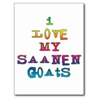 I Love My Saanen Goats Postcard