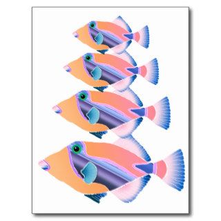 Orange and Blue Tropical Fish Post Cards
