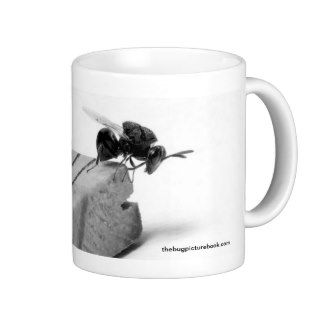 3mm Chalcid Wasp on Ruler (Single Picture) Coffee Mugs