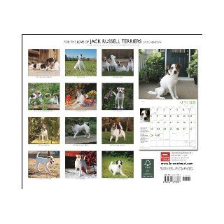 Jack Russell Terriers, For The Love Of 2012 Dlx Calendar (Multilingual Edition): BrownTrout Publishers Inc: 9781421677897: Books