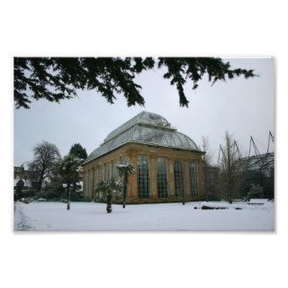 Edinburh Royal Botanic Garden Under Snow Art Photo