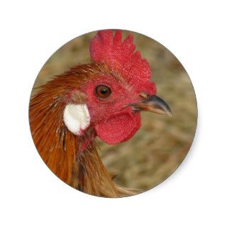 Phoenix Rooster Round Sticker