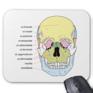 Diagram of Bone Structure Front of a Human Skull Mousepads