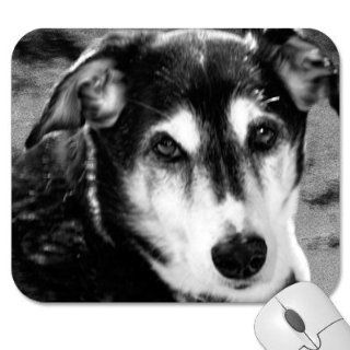 Mousepad   9.25" x 7.75" Designer Mouse Pads   Dog/Dogs (MPDO 294): Computers & Accessories
