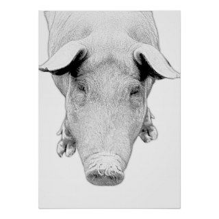 The Hog in Black and White Print