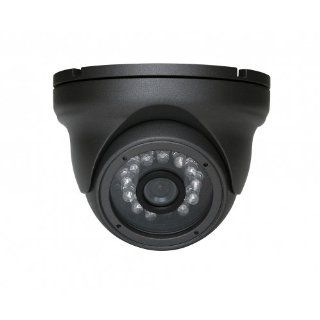 DIGITAL WATCHDOG DWCBL352IR Ball Camera, Fixed : Dome Cameras : Camera & Photo