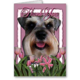 Thank You   Pink Tulips   Schnauzer Greeting Card