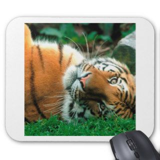 Tiger Sleepy Siberian Mouse Pad