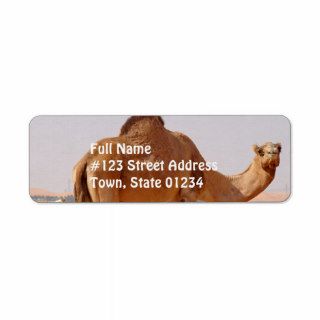 Camel for Arabs Return Address Label