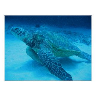 Swimming with sea turtles 2 poster