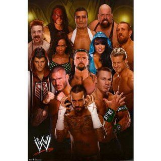 WWE Group 2012 Wrestling Poster   Prints