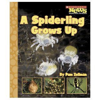 A Spiderling Grows Up (Scholastic News Nonfiction Readers: Animal Life Cycles): Pam Zollman: 9780516249469: Books
