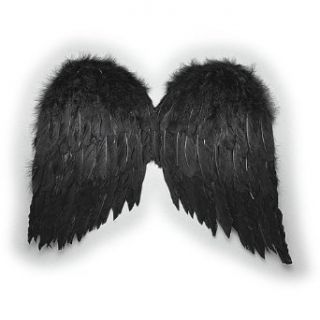 Feather Wings (black) 20in Economy Halloween Costume Accessory: Clothing