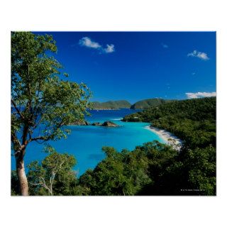 Scenic Caribbean shore Print