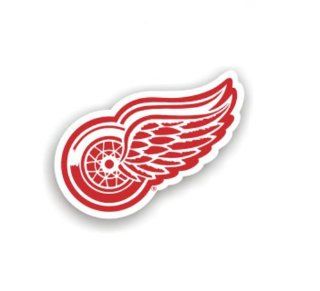 NHL Detroit Red Wings 8'' Team Logo Car Magnet : Sports Related Tailgater Mats : Sports & Outdoors