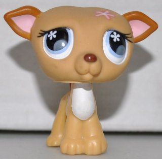 Greyhound #498 (Tan, Blue Eyed, Pink Flower on Head) Littlest Pet Shop (Retired) Collector Toy   LPS Collectible Replacement Single Figure   Loose (OOP Out of Package & Print): Everything Else