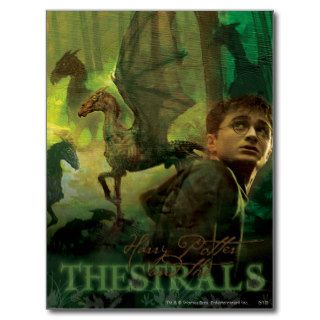 Harry Potter Thestrals Post Cards