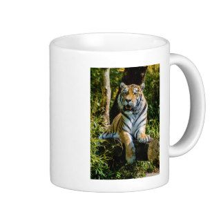 Siberian Tiger Amur Tiger Panthera Tigris Altaica Coffee Mugs