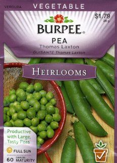 Burpee 51847 Heirloom Pea Thomas Laxton Seed Packet : Vegetable Plants : Patio, Lawn & Garden
