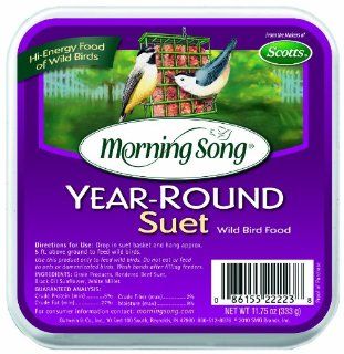 Morning Song 1022223 Year Round Suet Wild Bird Food, 11 3/4 Ounce : Suet Bird Feed : Patio, Lawn & Garden