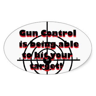 Gun Control Being able to hit your target Stickers