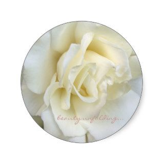 Beautiful white rose small sticker