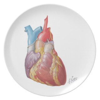 Netter Heart "Plate"