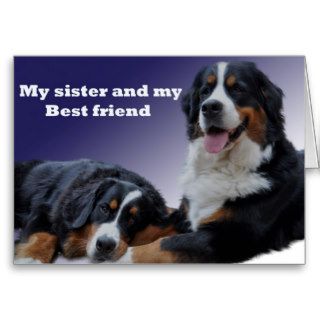 sister, bernese, happy birthday, best wishes, love greeting cards