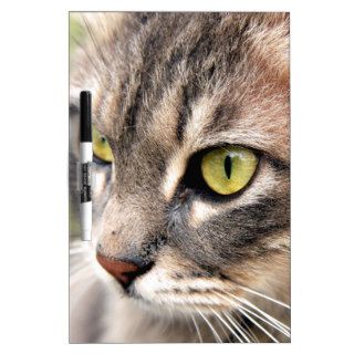Long Haired Tabby Cat Dry Erase Board