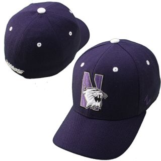 Zephyr Northwestern Wildcats DHS Hat   Size: 7 5/8, Northwestern Wildcats