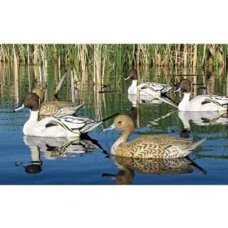 Dakota Decoys X Treme Pintail Floaters Floating Duck Decoys 12pk 13150 : Hunting Decoys : Sports & Outdoors