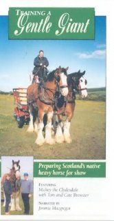 Training a Gentle Giant: Preparing Scotland's Native Heavy Horse for Show: Tom Brewster, Cate Brewster: Movies & TV